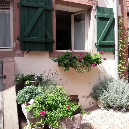 Charmant Petit Appartement En Alsace Bouxwiller  Экстерьер фото