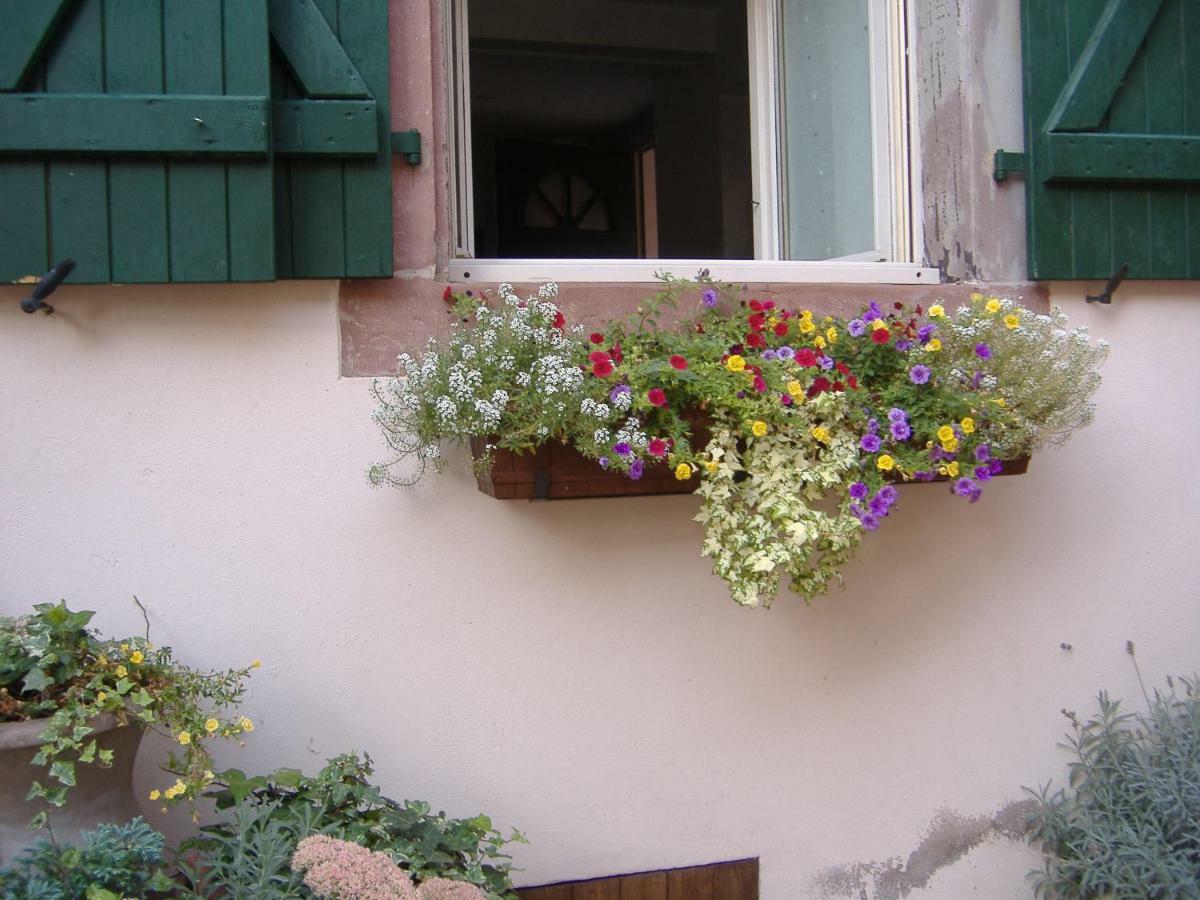 Charmant Petit Appartement En Alsace Bouxwiller  Экстерьер фото